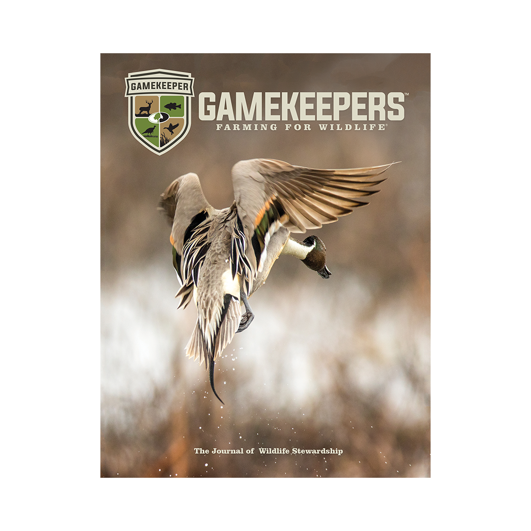 Gamekeepers Magazine Single Issue