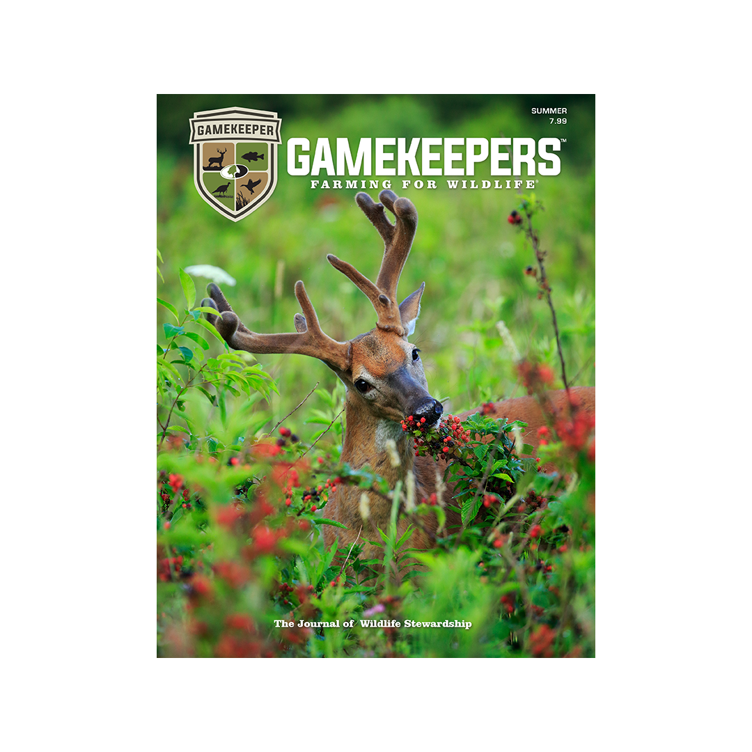 Gamekeepers Magazine Single Issue